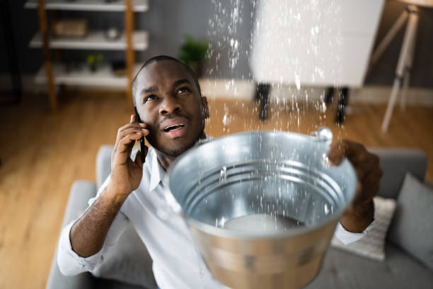 Best Flood restoration services  in Mansfield, AR