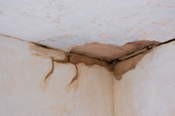 Best Residential water damage restoration  in Mansfield, AR