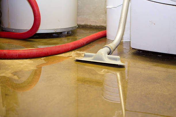 Best Flood damage cleanup  in Mansfield, AR