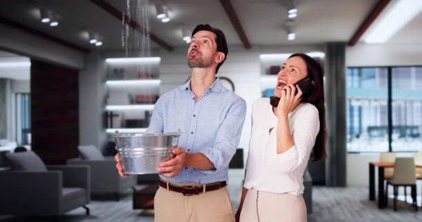 Best Water damage repair service  in Mansfield, AR