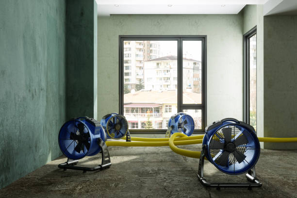 Best Water damage contractors near me  in Mansfield, AR